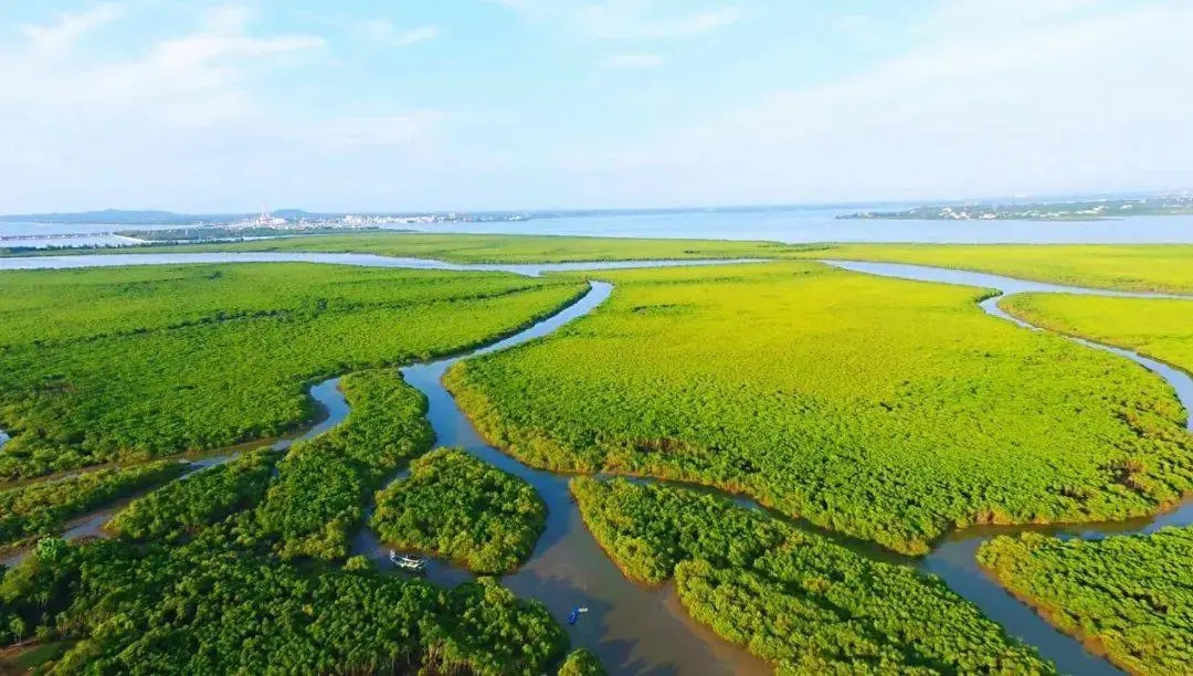 102055123.jpg 1.webp.jpg