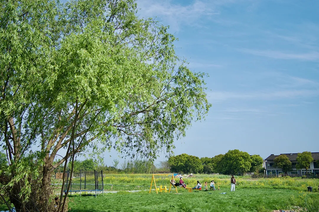 102125269.jpg 2.webp.jpg