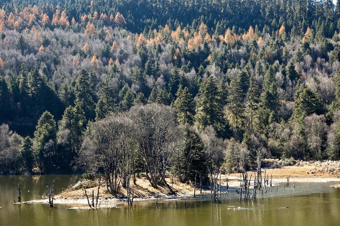 102151880.jpg 3.webp.jpg