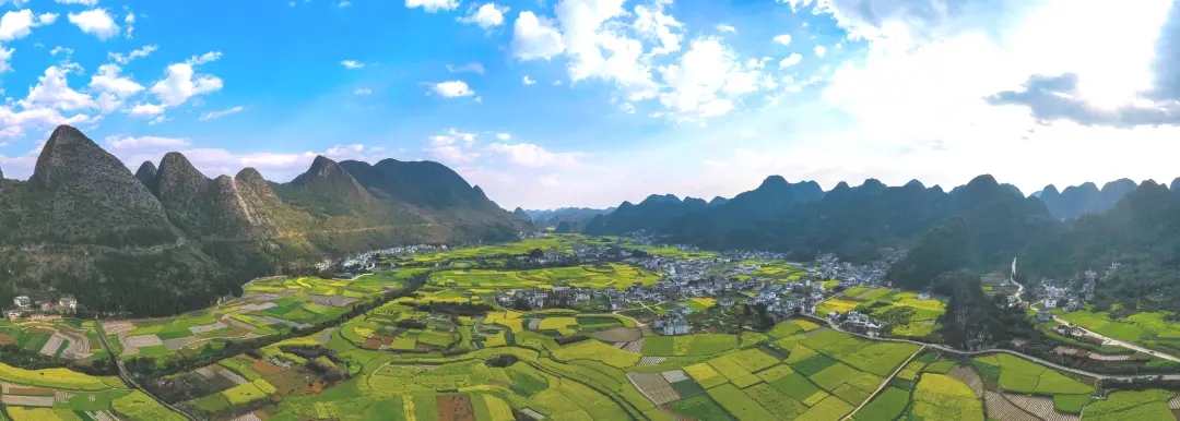 102314387.jpg 6.webp.jpg