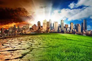 095237230.jpg 4.webp.jpg