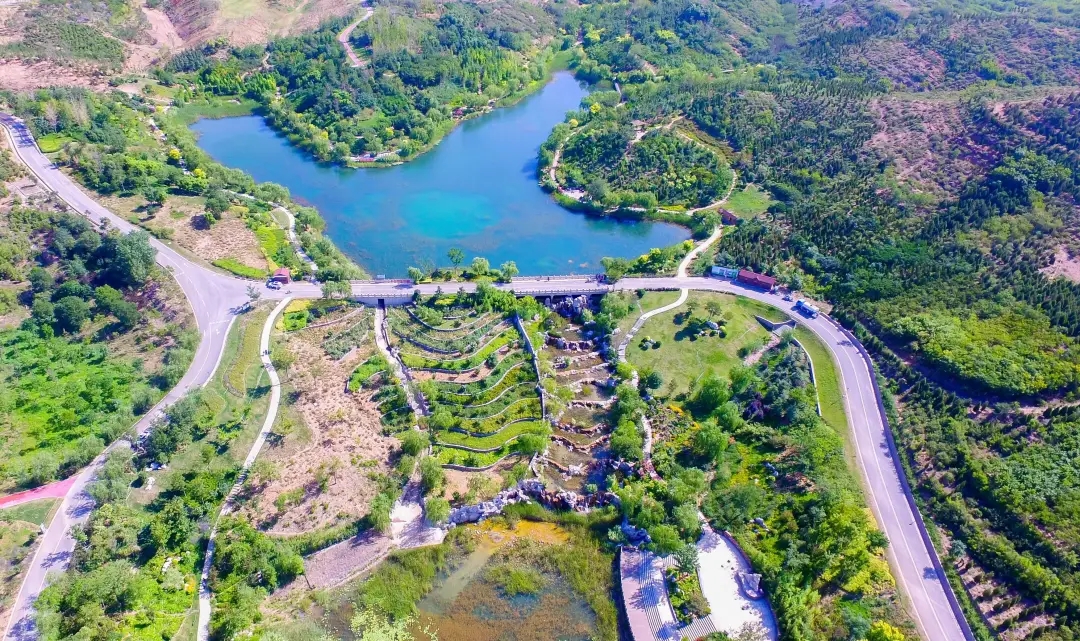 155151280.jpg 4.webp.jpg