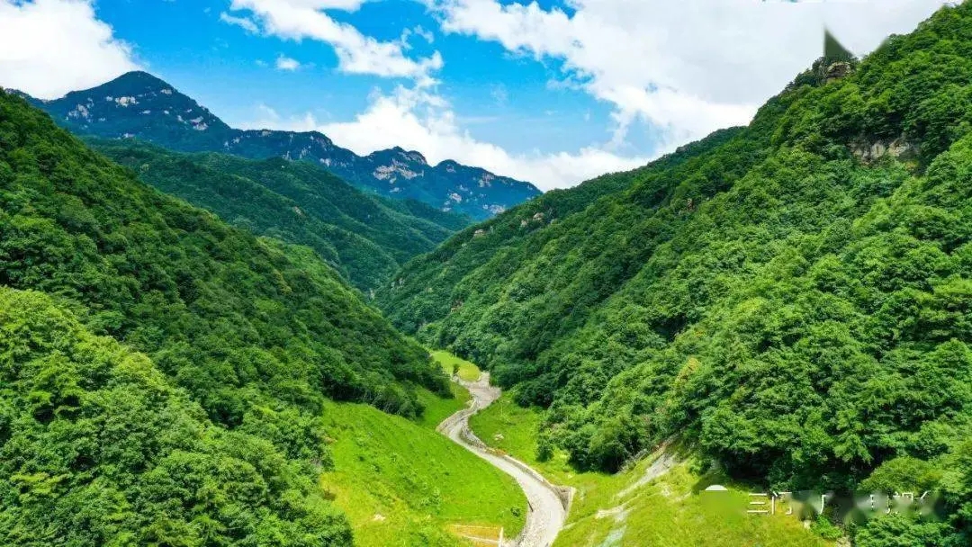 155644870.jpg 6.webp.jpg