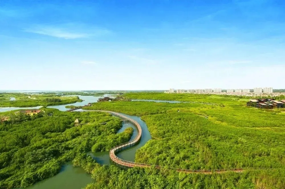 155707960.jpg 7.webp.jpg