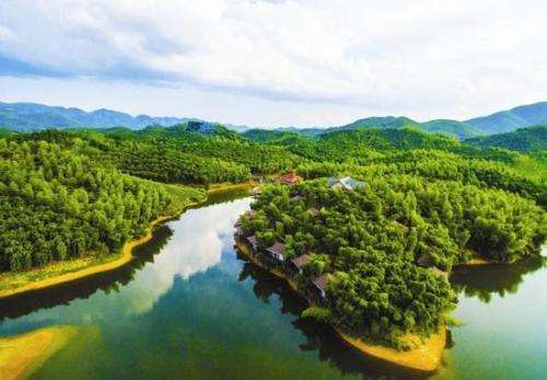 102336651.jpeg 生态修复.jpeg