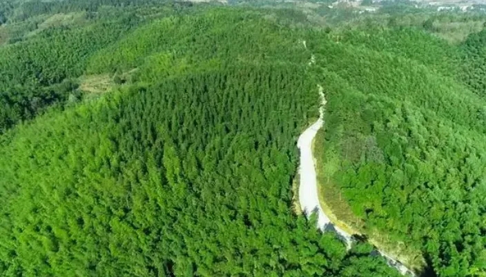 093131130.jpg 2.webp.jpg