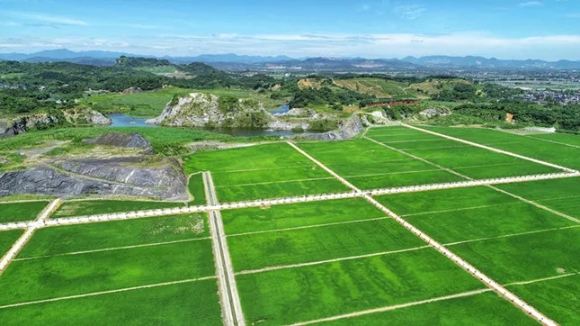 093210899.jpg 4.webp.jpg