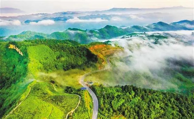 093255114.jpg 6.webp.jpg