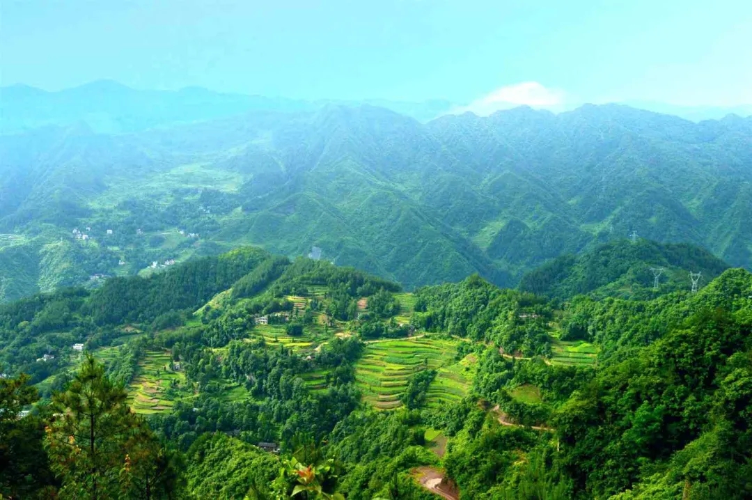 095535460.jpg 7.webp.jpg