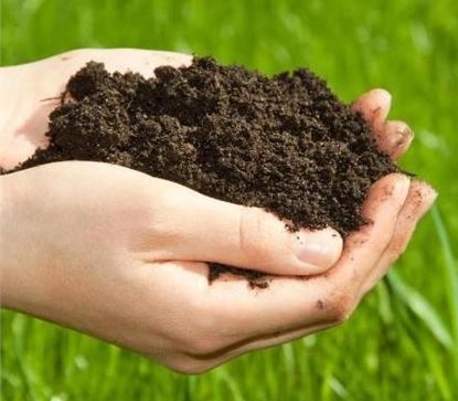 103039801.jpg u=1993711509,1858658494&fm=253&fmt=auto&app=138&f=PNG.webp.jpg