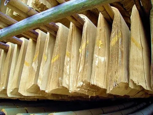 103109157.jpg u=2859374882,1718938521&fm=253&fmt=auto&app=138&f=JPEG.webp.jpg