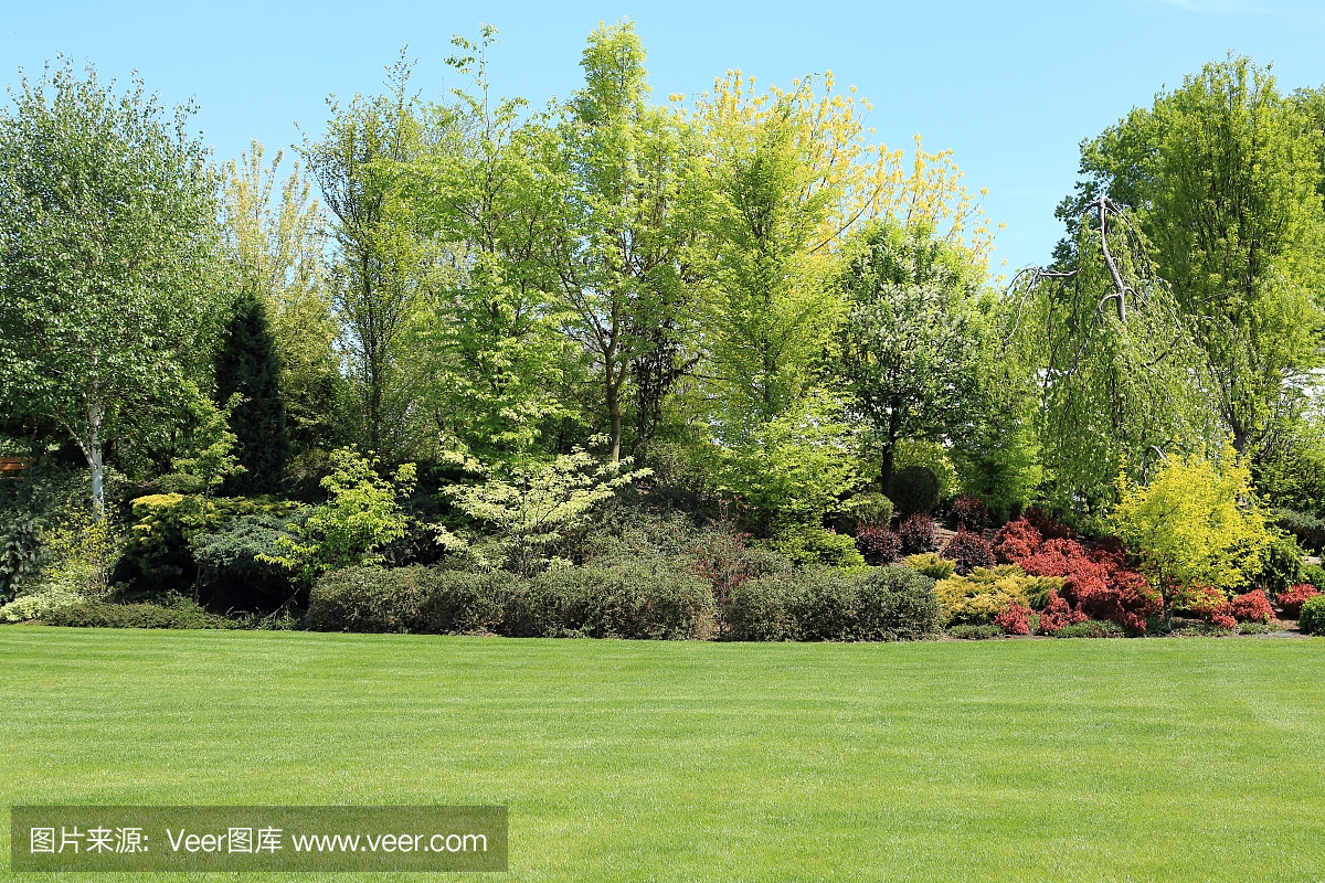 110229482.jpg t017cbcae92fd882c26.jpg