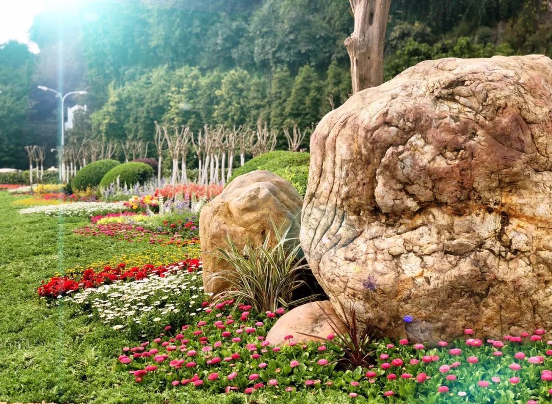 110311553.jpeg 974aeac61dcf45cb89189bc59bef4259.jpeg