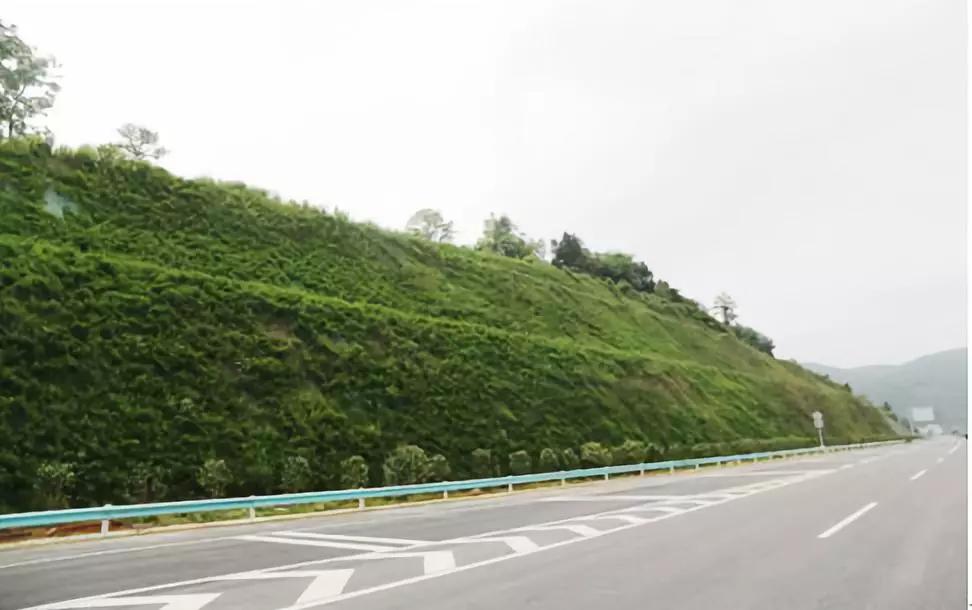 110335715.jpg 9ed089f8e3ec4d88940b83a61613ff3f.JPG