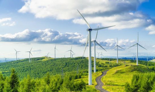 163757551.jpg 产业.jpg